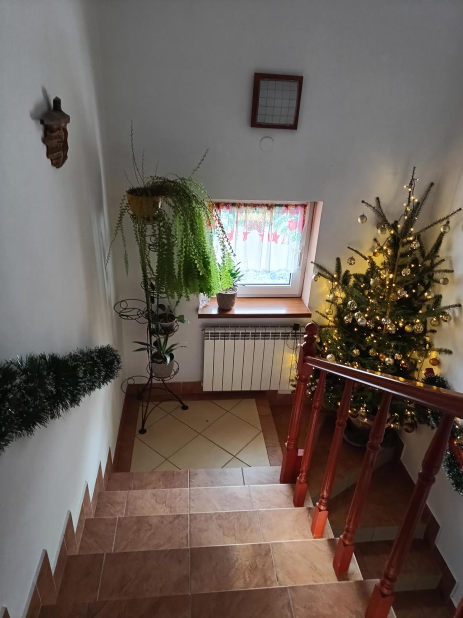 Noclegi U Brody Hoczew Exterior foto